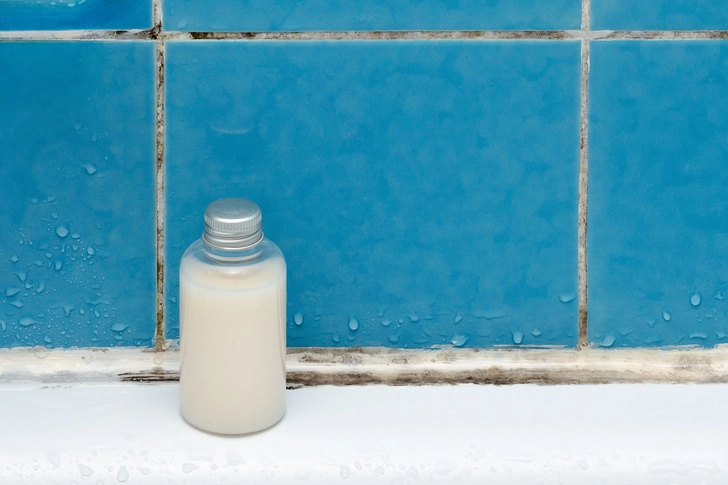 Mold and Mildew 101
