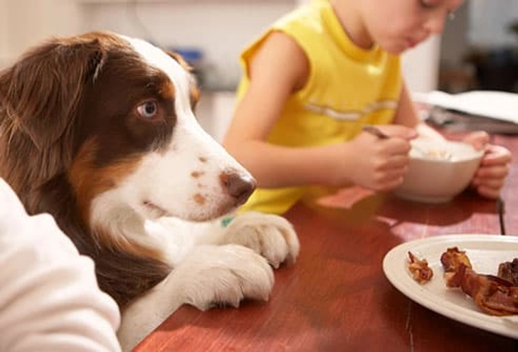 Begging