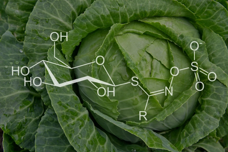 It May Help Keep Cancer Away It May Help Keep Cancer Away