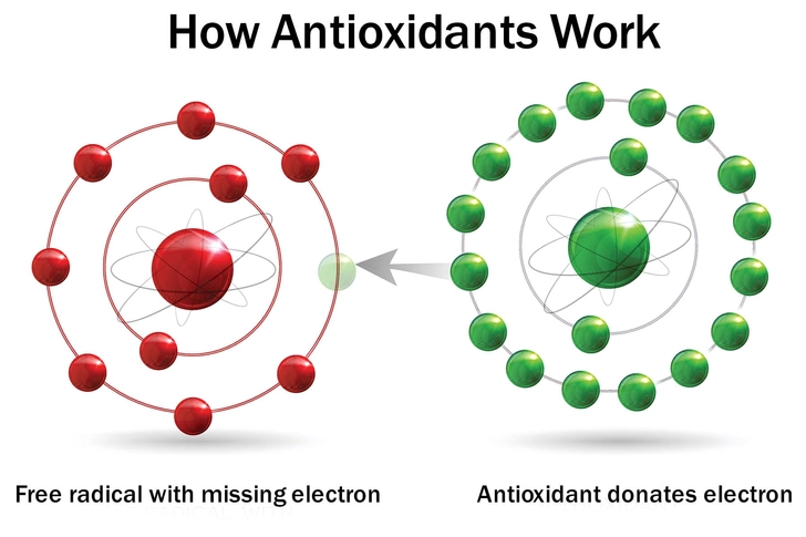 It’s Loaded With Antioxidants It’s Loaded With Antioxidants