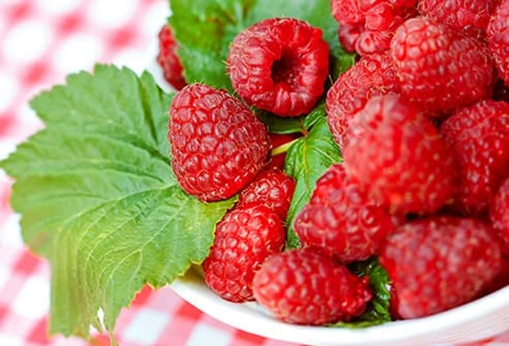 Red Raspberries Red Raspberries