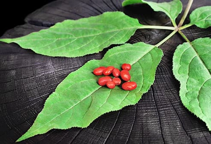 Ginseng Berries
