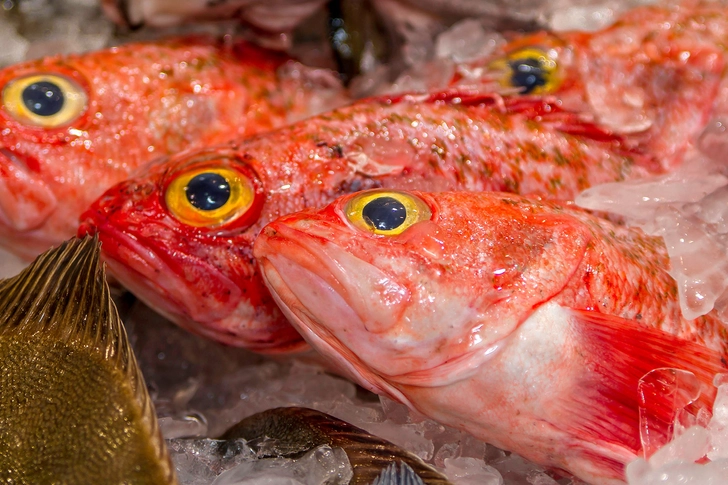 Worst: Orange Roughy Worst: Orange Roughy