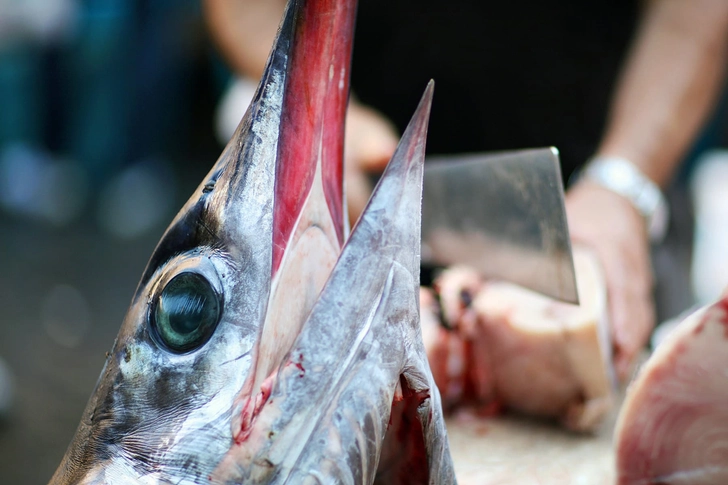 Worst: Fish High in Mercury