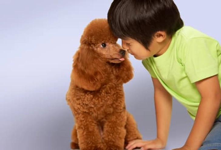 Dogs for Allergy Sufferers Dogs for Allergy Sufferers