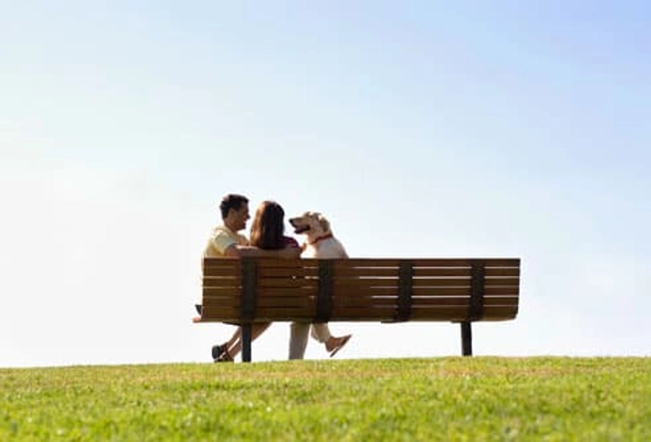 Love Connections and Socializing