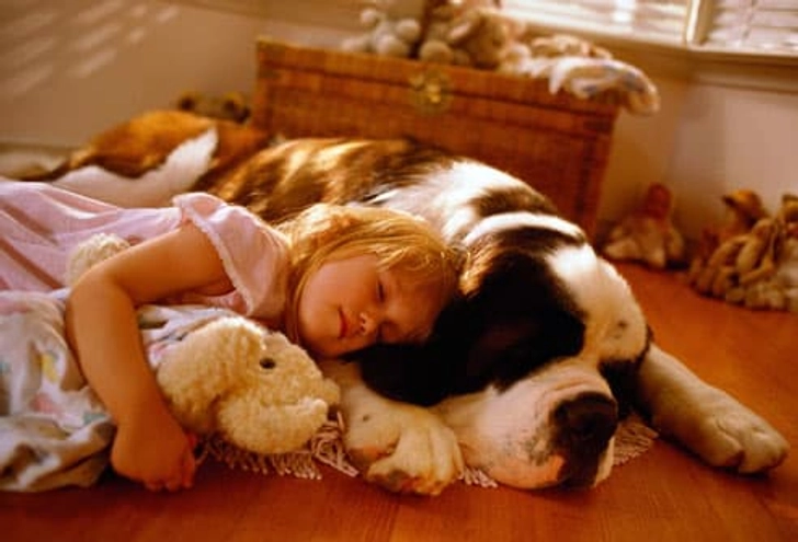 Dogs That Love Kids