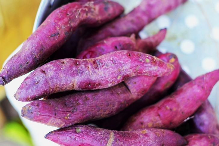 Sweet Potato