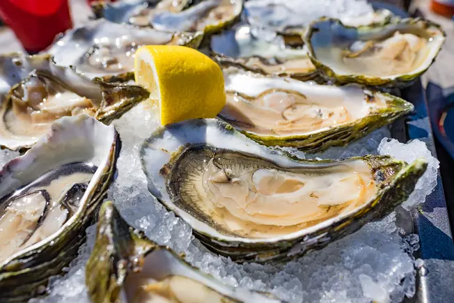 Oysters Oysters
