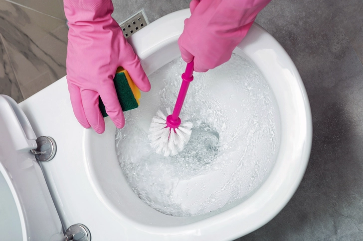 Toilet Ring