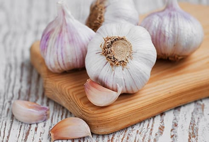 Garlic