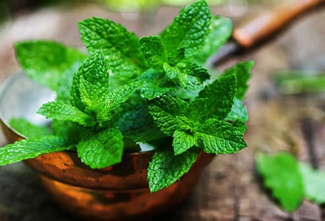 Food That Helps: Mint