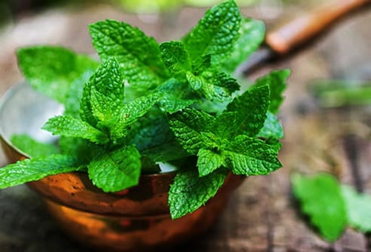 Food That Helps: Mint Food That Helps: Mint