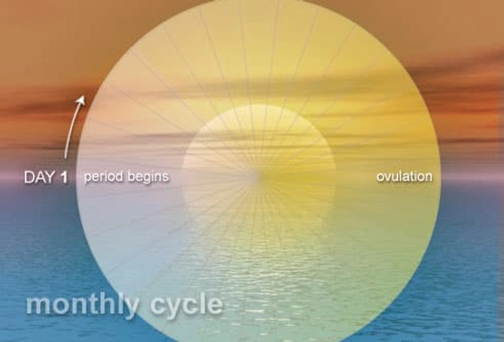 Ovulation Predictor Kits Ovulation Predictor Kits
