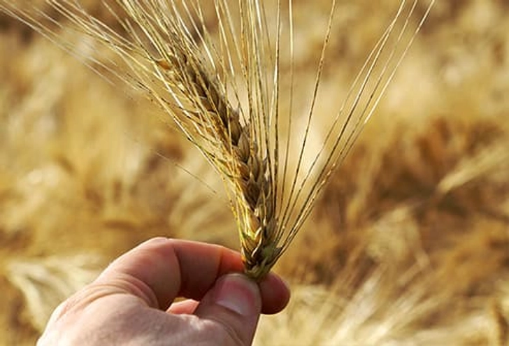 Celiac Disease