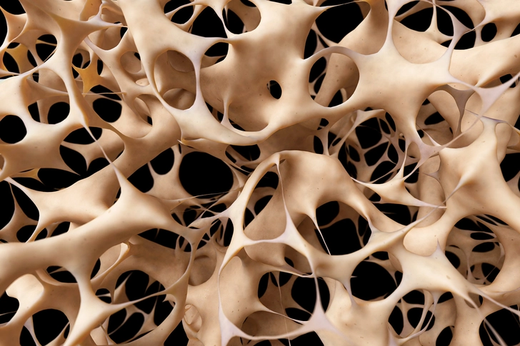 Bone Health