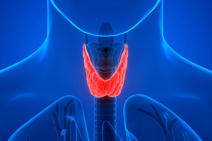 Thyroid Condition Thyroid Condition
