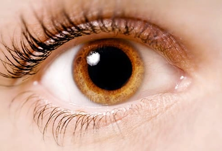 Dilated Pupils Dilated Pupils