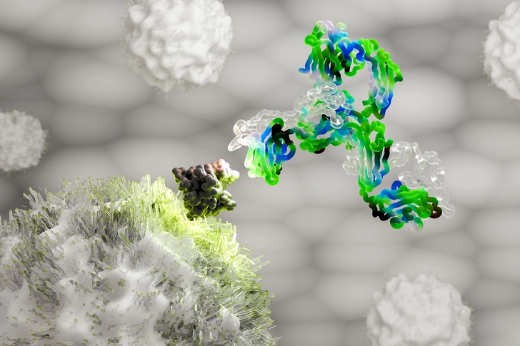 Immunotherapy