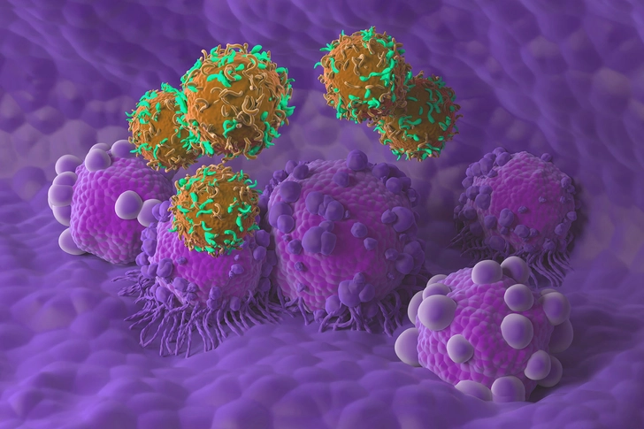 Targeted Therapies (used with chemotherapy)