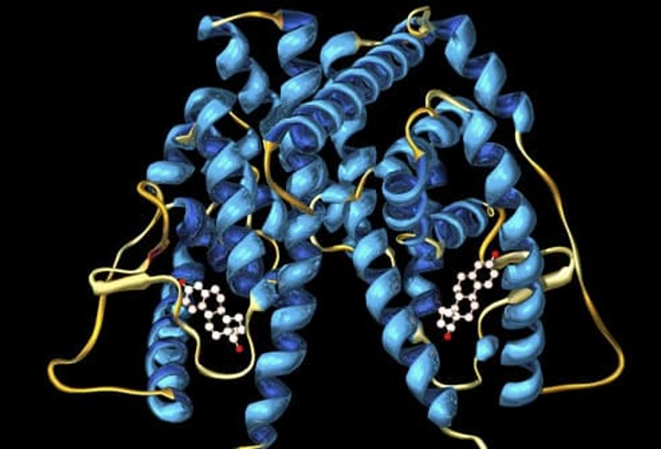 Hormone-Sensitive Breast Cancer
