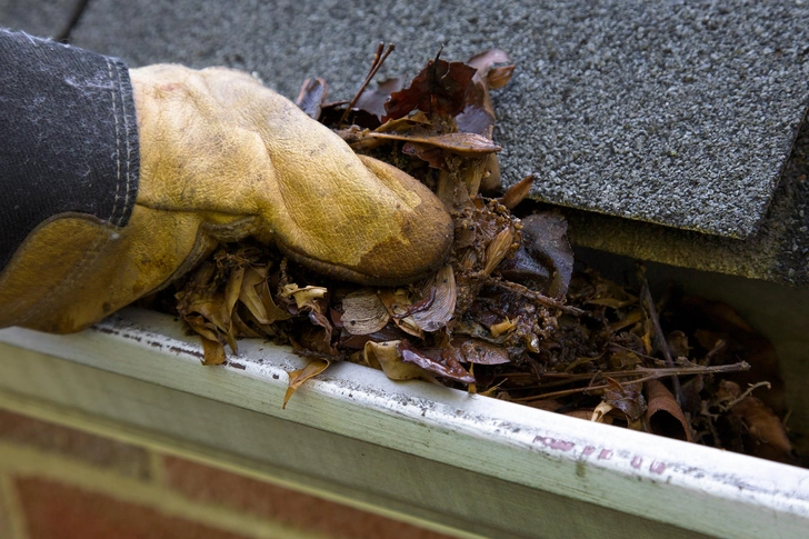 Empty the Gutters
