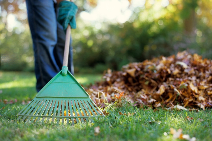 Rake and Bag Leaves Rake and Bag Leaves