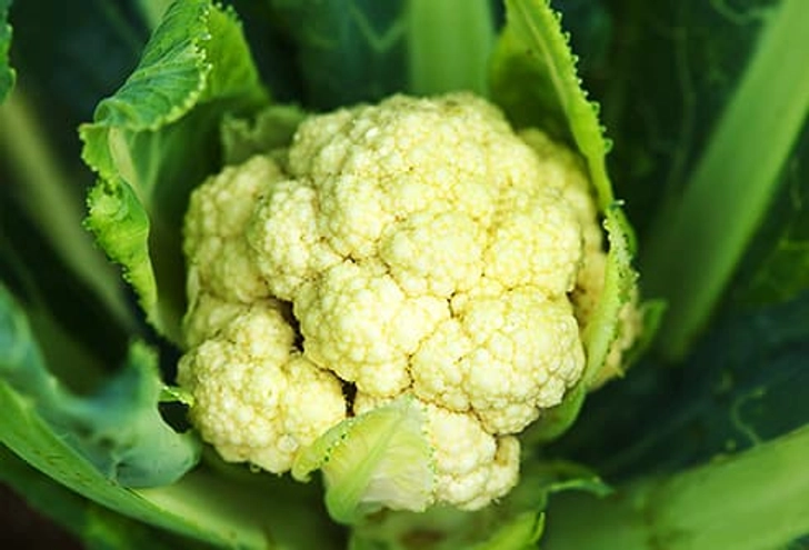 Cauliflower