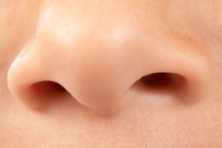 Breathe Through Your Nose Breathe Through Your Nose