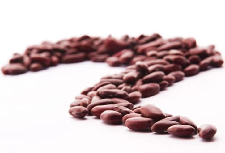 The Mighty Bean