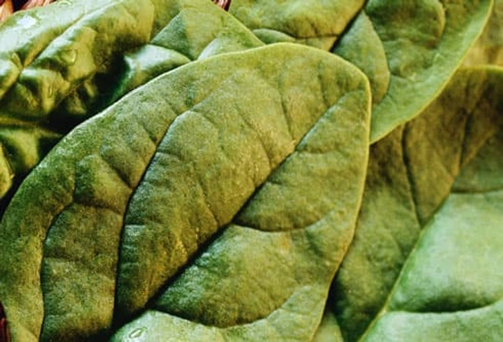 Dark Green Leafy Vegetables