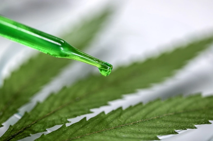 Cannabis Oil