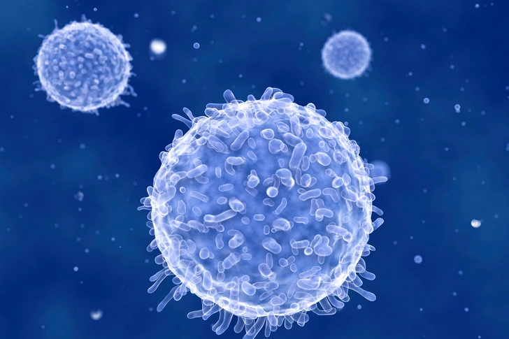 Adoptive Cell Transfer (ACT)