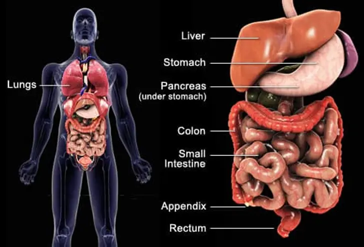 Where Tumors Occur