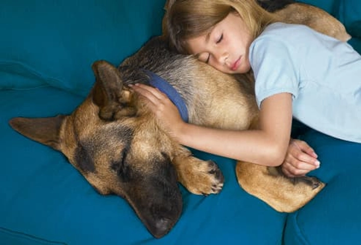 Doggie Upside: Loving and Loyal Doggie Upside: Loving and Loyal