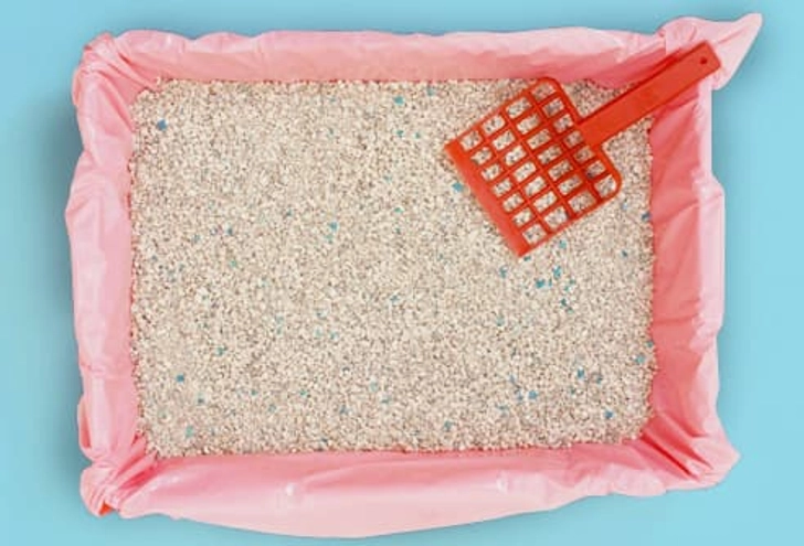 Kitty Downside: The Litter Box Kitty Downside: The Litter Box