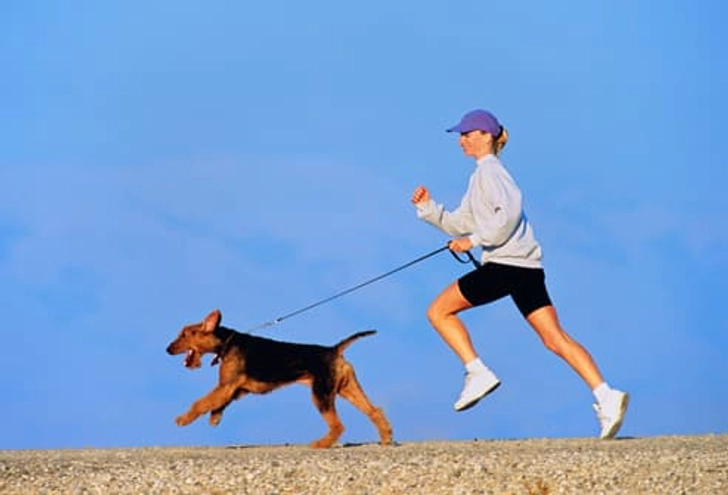Doggie Upside: Boundless Energy Doggie Upside: Boundless Energy