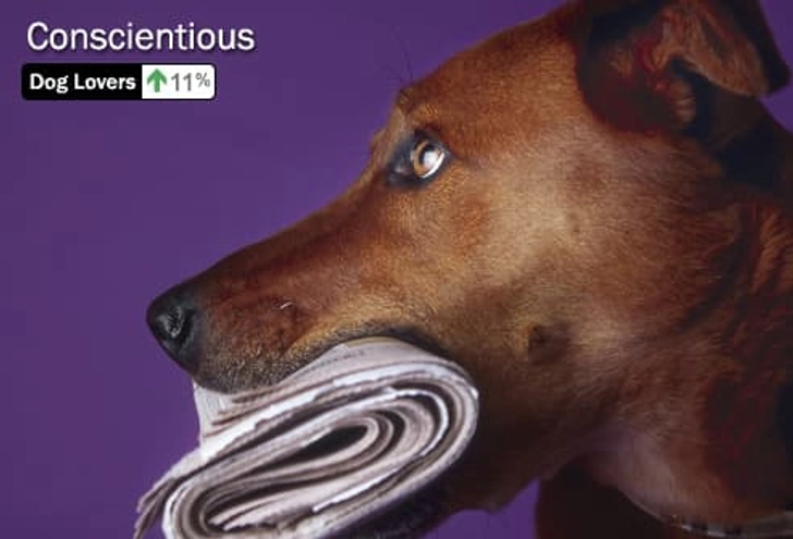 Personality Trait: Conscientious