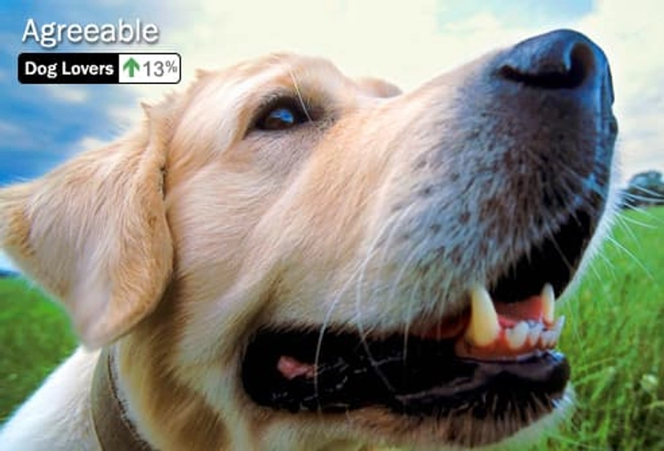 Personality Trait: Agreeable Personality Trait: Agreeable