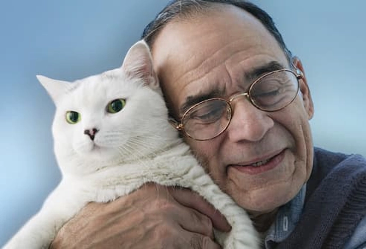 Kitty Upside: Cozy Companion Kitty Upside: Cozy Companion