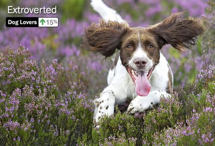 Personality Trait: Extroverted