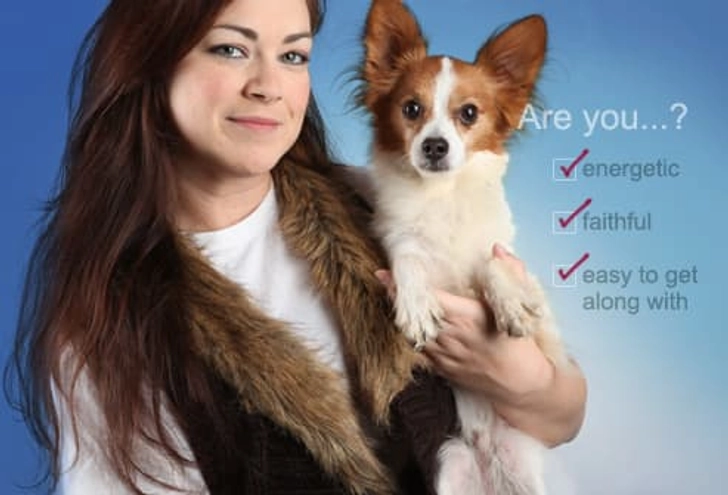 The Typical Dog Person The Typical Dog Person