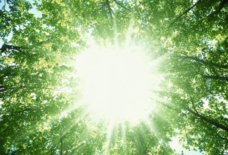 Cataract Symptom: Glare Cataract Symptom: Glare