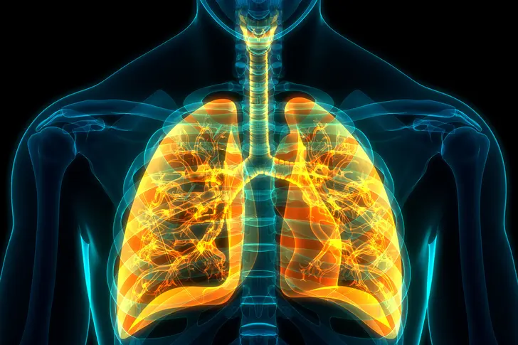 Celebrities With COPD Celebrities With COPD