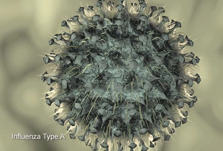 Flu