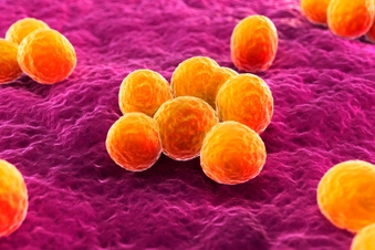 Tampons and TSS Risk