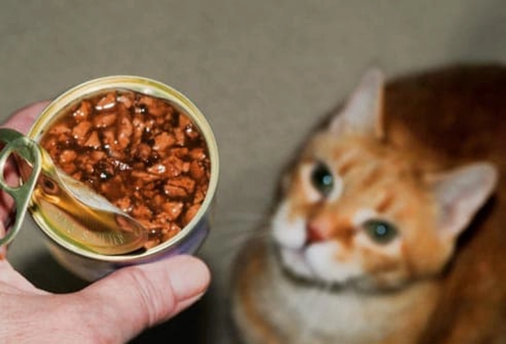 Keep Food Safe