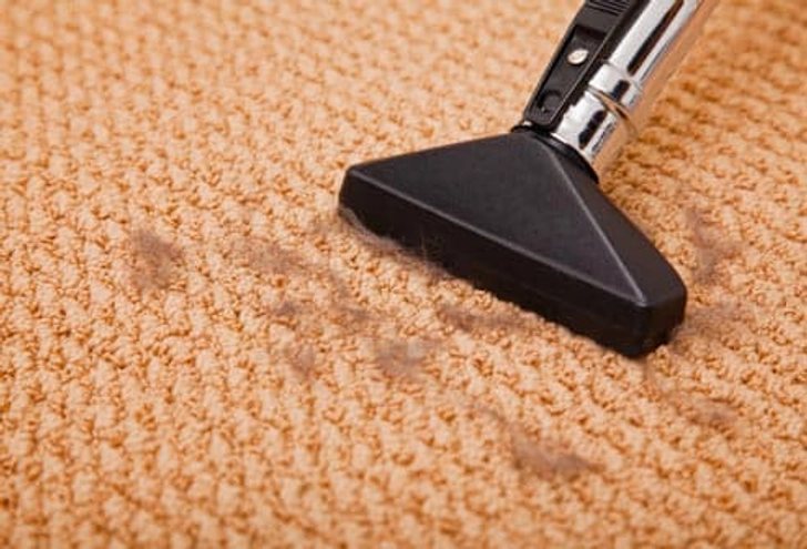 Get Fleas out of the House
