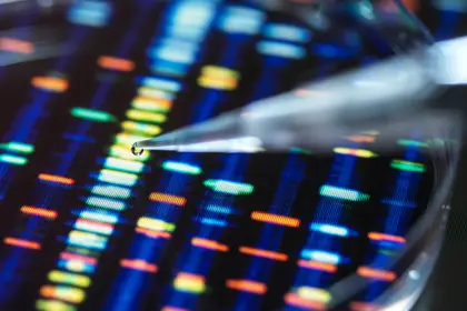 photo of genetic testing pipette