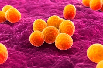 Antimicrobial Fabric Antimicrobial Fabric